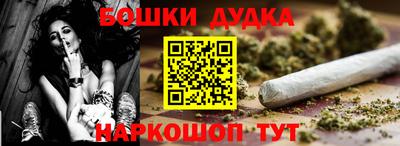 гидра Славгород
